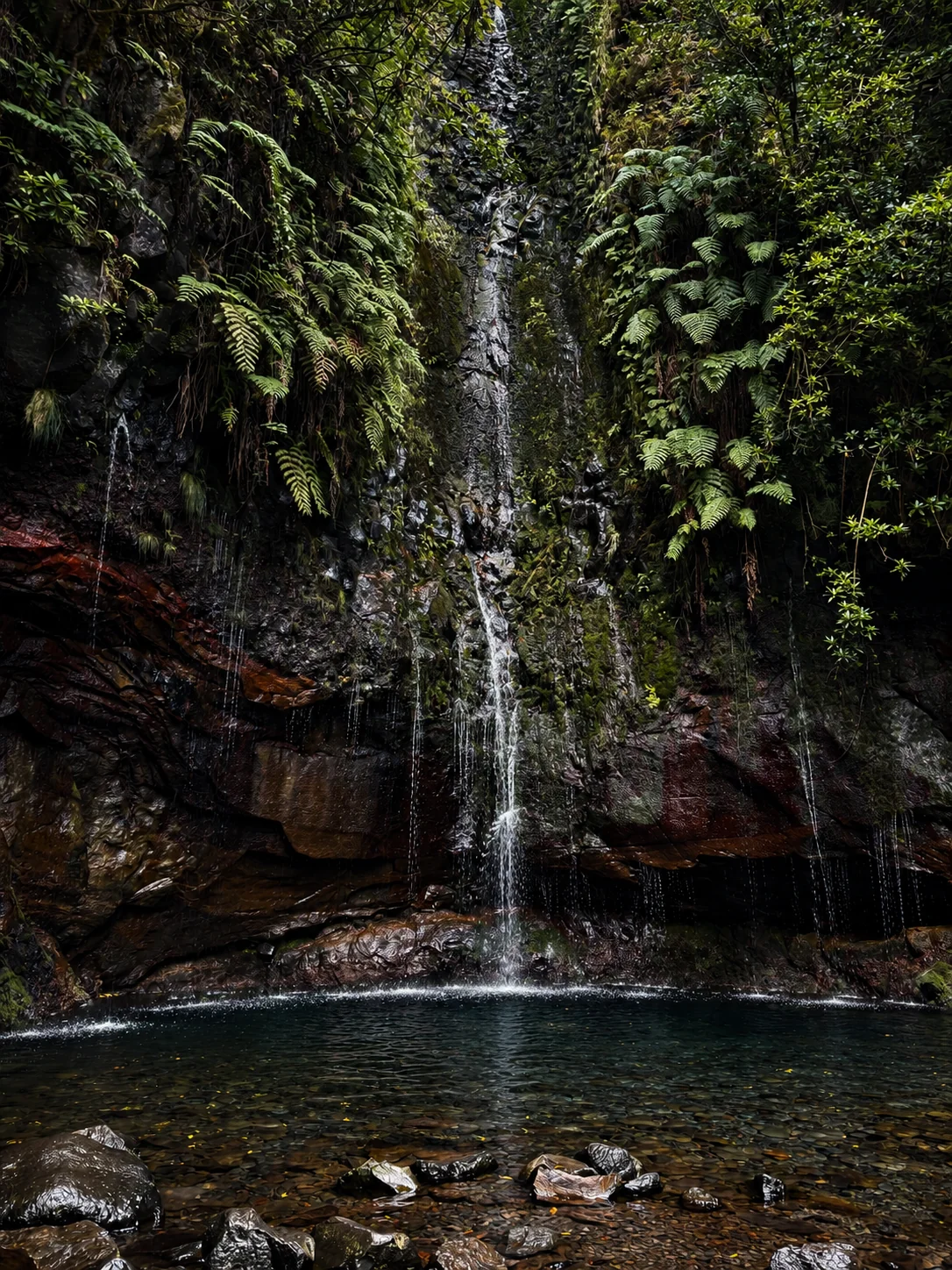 The Quiet Falls
